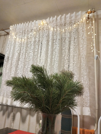 Сижу нюхаю и вспоминаю🌲