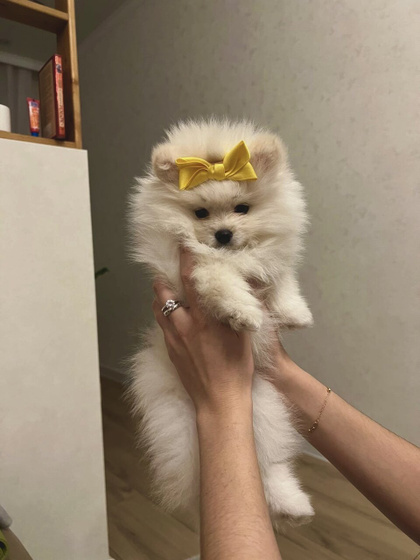 мое возвращение