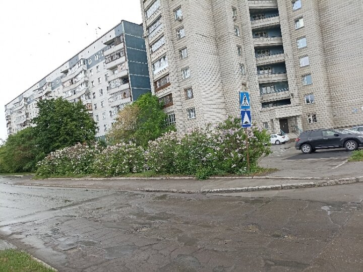 Когда название улицы 