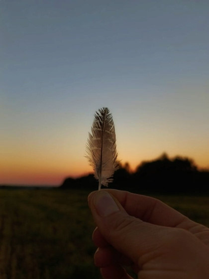 Сегодня один из самых