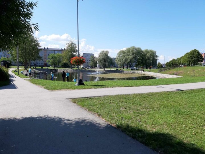 "Финансы, поют романсы". День 11