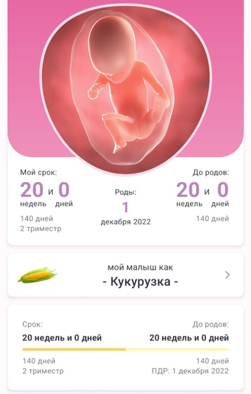 Экватор🌸