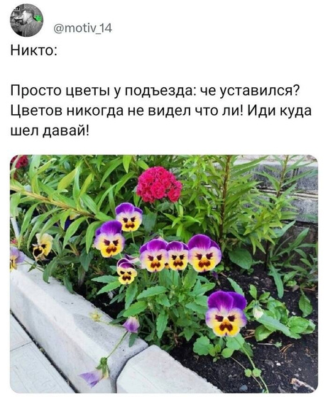 Блин, какая все таки