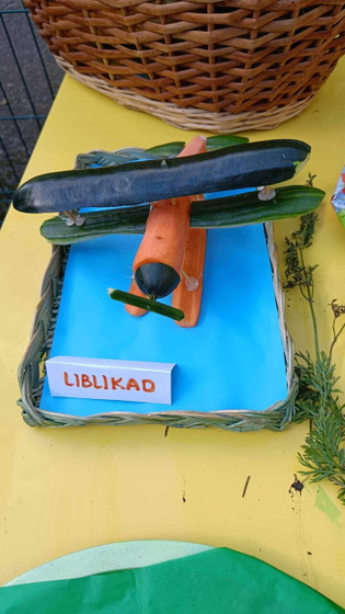 Такая выставка в саду
