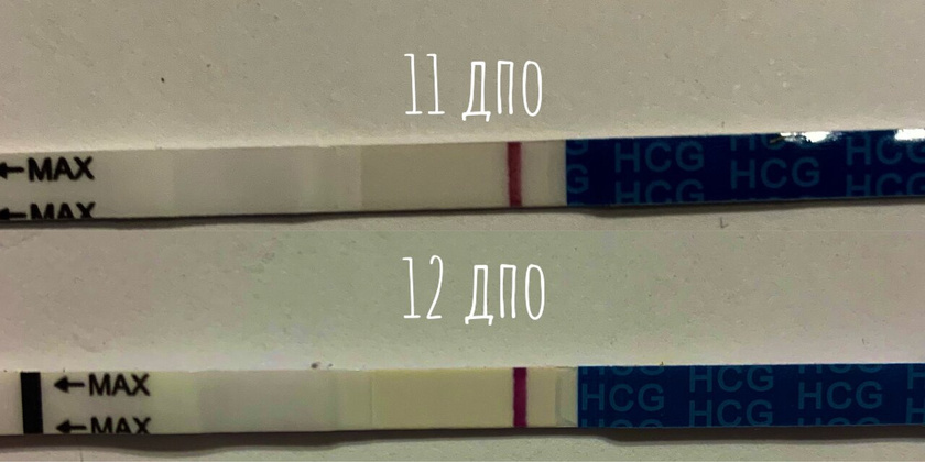 12 дпо эви вечер