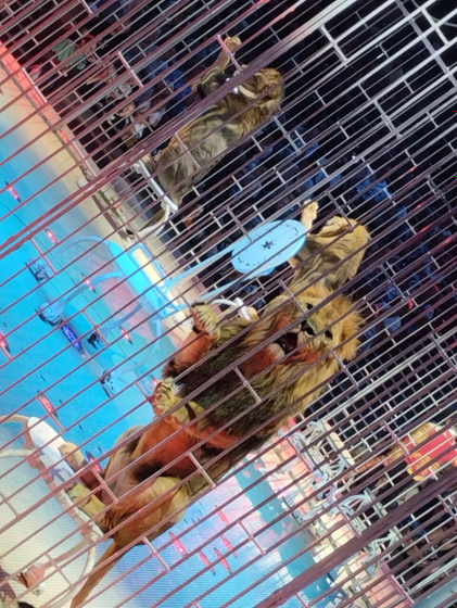 Еще фото в комментах