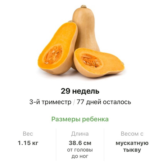 29 недель .