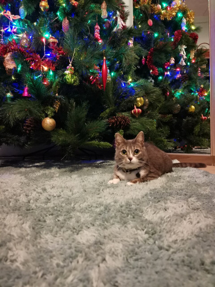 С Наступающим Новым годом!