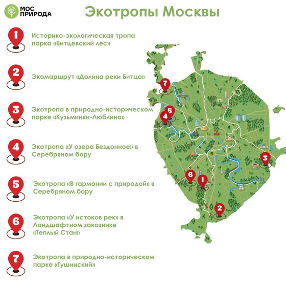 Где найти лес в Москве?