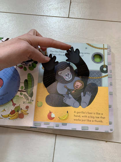 Серия peep inside от usborne