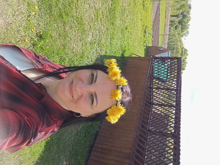 Погода