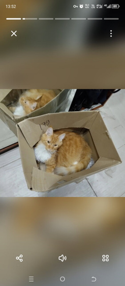 _