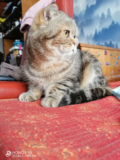 ? ??