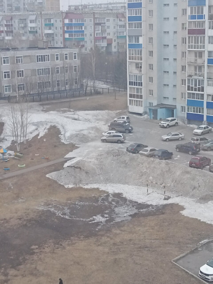 Погода. Обработка от клещей.