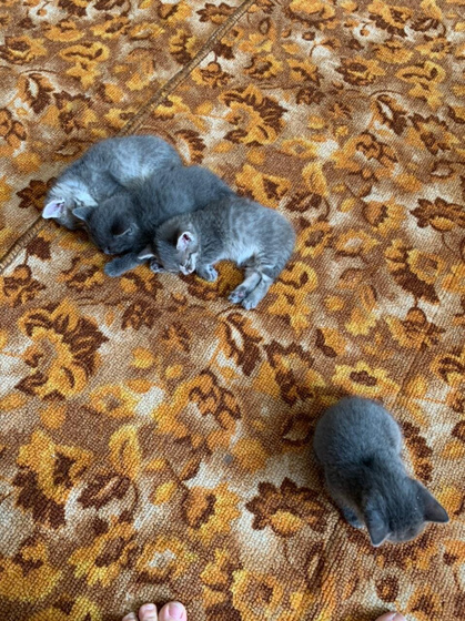Воронеж!