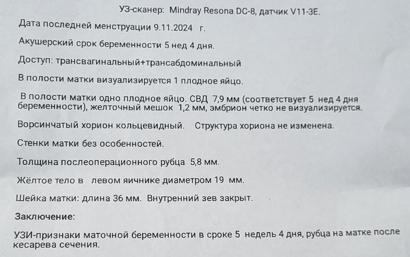 Большая гематола на узи