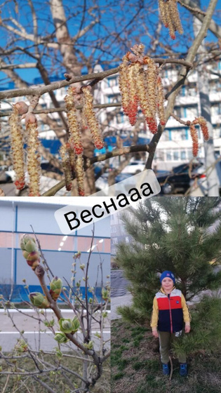 Мне определенно нравится весна