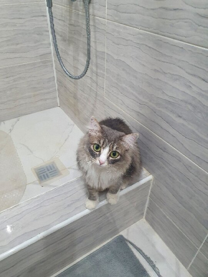 Ну что ж, дом