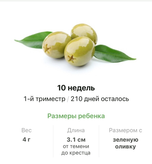 10 недель .