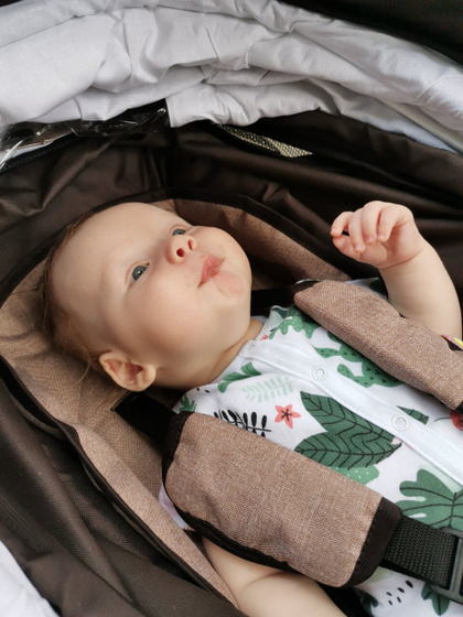 Переехал сегодня в прогулку