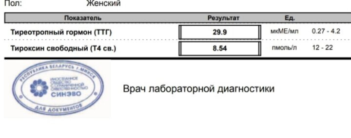 Я сейчас знатно о🌺ела. ТТГ