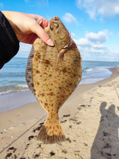 Балтийское море