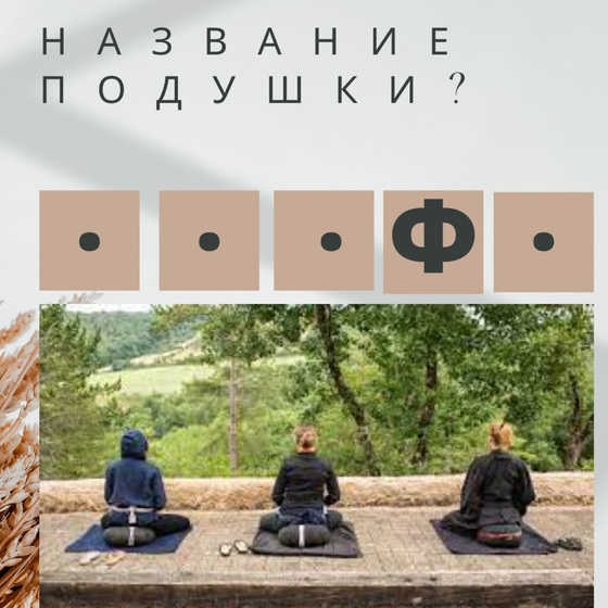 Угадайте название подушки?