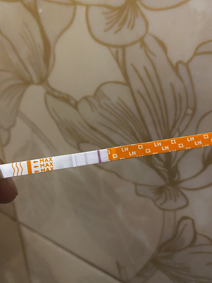 2️⃣8️⃣ день цикла
