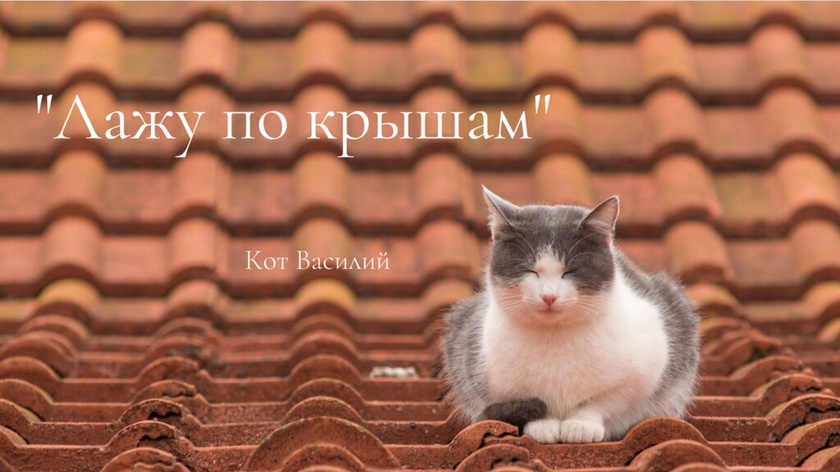 Лажу по крышам - есть такое выражение?