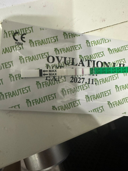 Овуляция