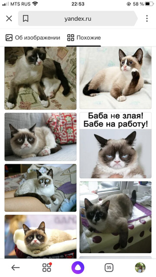 Как думаете?)