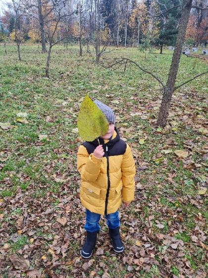 НЕГОВОРУША