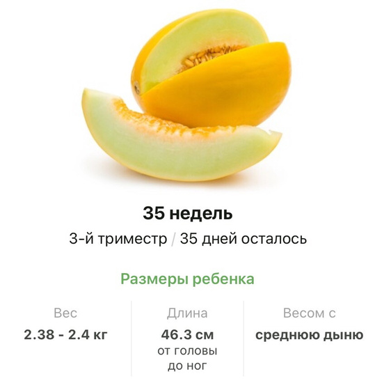 35 недель .