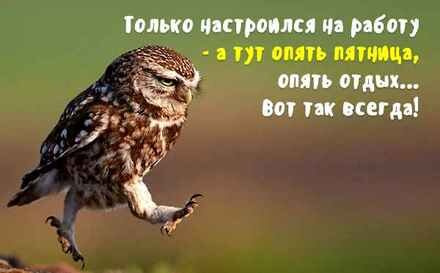 А кто вы в конце рабочей недели?