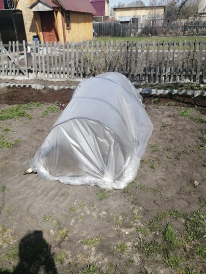 Я герой, прощай спина