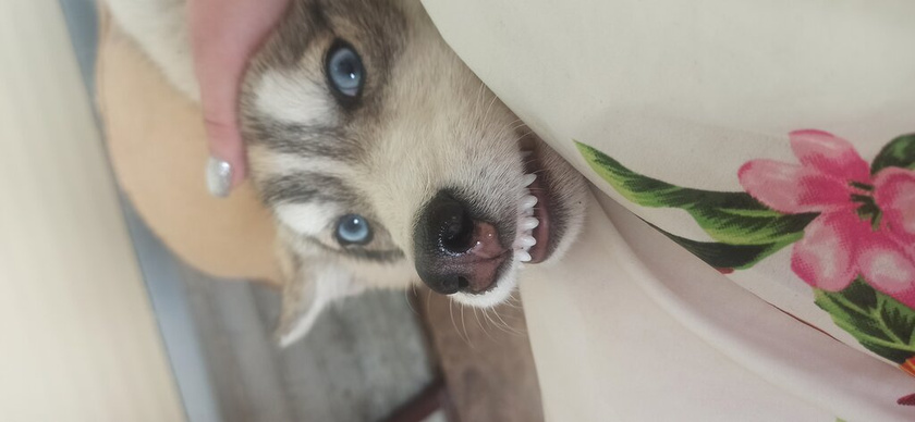 5 месяцев.