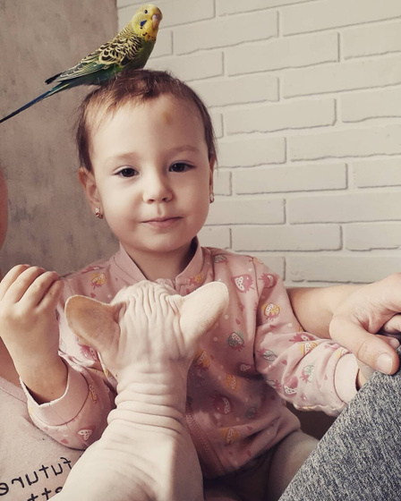 Моя❤ сфотографировать эту девочку