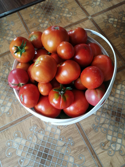 Оборвала свой урожай с