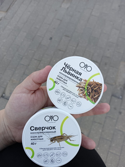 У нас пополнение в птичьем царстве