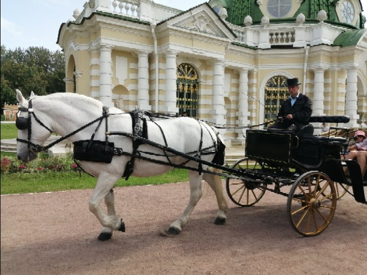 Усадьба Кусково, Москва