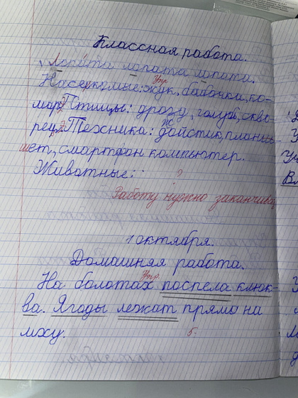 Почерк у школьника.