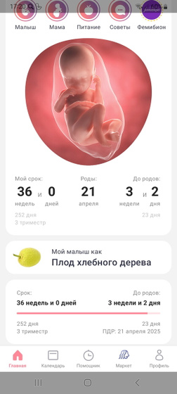 Мои 36 неделек!🥰