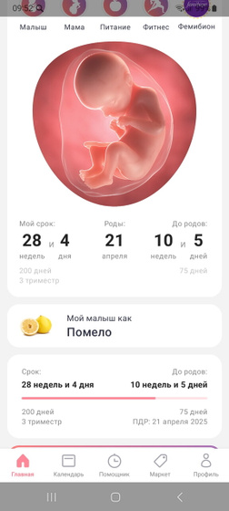 ИЦН