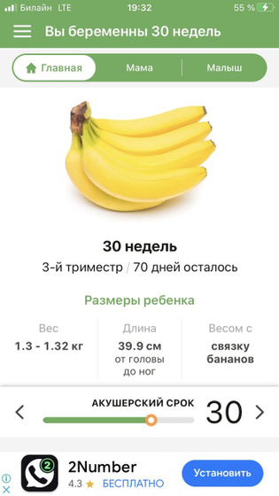 Моему пузожителю сегодня 30🥳