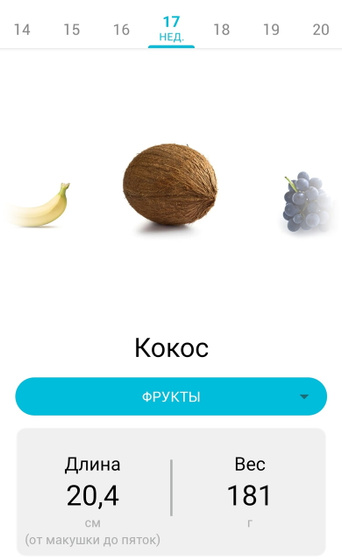 17 недель