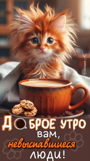 Всем привет 👋🏻