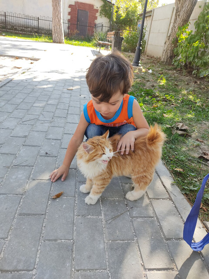 Кубоб.