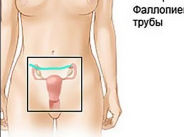 Девоньки привет.Вот