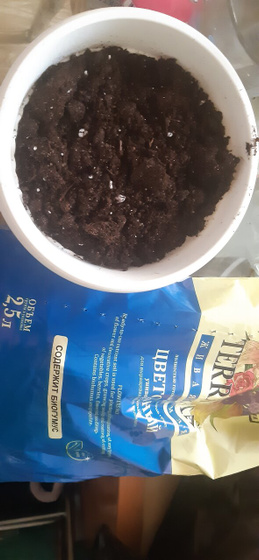 Грунт для цветка