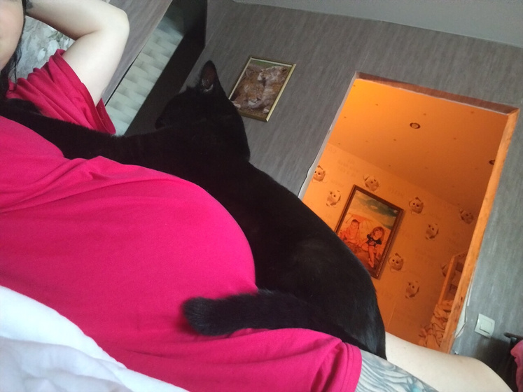 Вот как мой кот лежит на мне